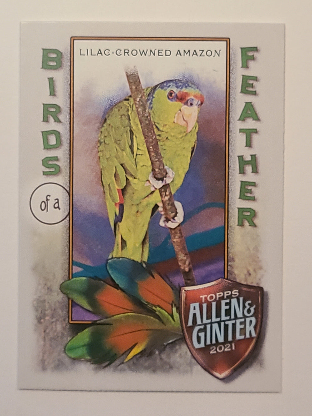 2021 Topps Allen & Ginter Birds of a Feather Inserts (List)