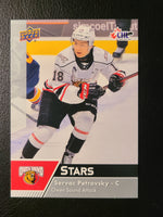 
              2022-23 CHL Stars & Star Rookies Base and Red Parallels (301-399) (List)
            