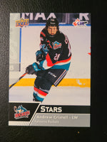 
              2022-23 CHL Stars & Star Rookies Base and Red Parallels (301-399) (List)
            