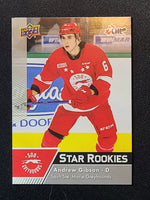 
              2022-23 CHL Stars & Star Rookies Base and Red Parallels (301-399) (List)
            