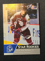 
              2022-23 CHL Stars & Star Rookies Base and Red Parallels (301-399) (List)
            