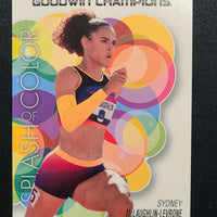 2023 Goodwin Champions Splash of Color (List)