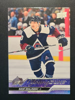 
              2023-24 Upper Deck Extended Young Guns and First Round Rookies (List)
            