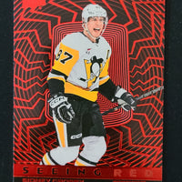 2023-24 Upper Deck Extended Seeing Red Inserts (List)