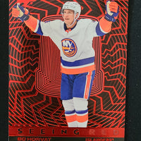 2023-24 Upper Deck Extended Seeing Red Inserts (List)