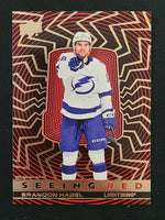 
              2023-24 Upper Deck Extended Seeing Red Silver and Gold Variations (List)
            