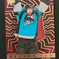 2023-24 Upper Deck Extended Seeing Red Silver and Gold Variations (List)