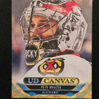 2024-25 Upper Deck Series 1 Canvas Inserts Including Black/White Parallels (List)