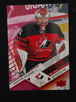 
              2024-25 Team Canada Juniors Red Parallels (List)
            