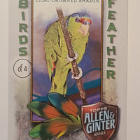 2021 Topps Allen & Ginter Birds of a Feather Inserts (List)