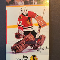 1988-89 Esso Cards (Stickers) (List)